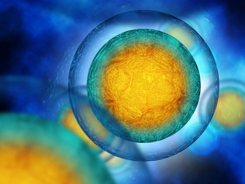 science image